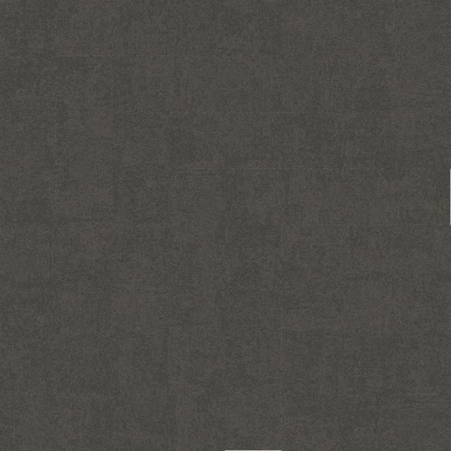 9555005 Coal